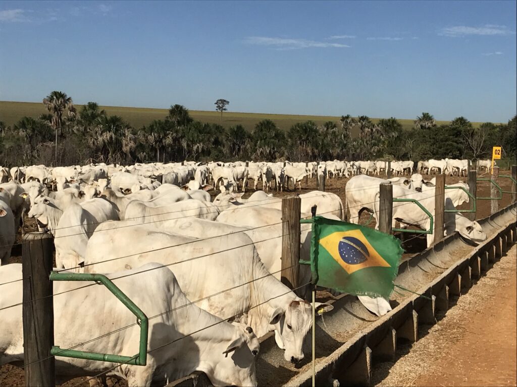 47501426 51a7 4116 8076 15588e4bbc50