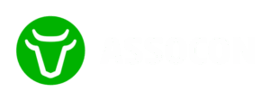 logo assocon h 2