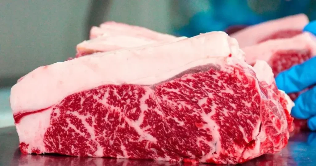 Brasil supera EUA como maior produtor de carne bovina do mundo (Foto: Divulgação)